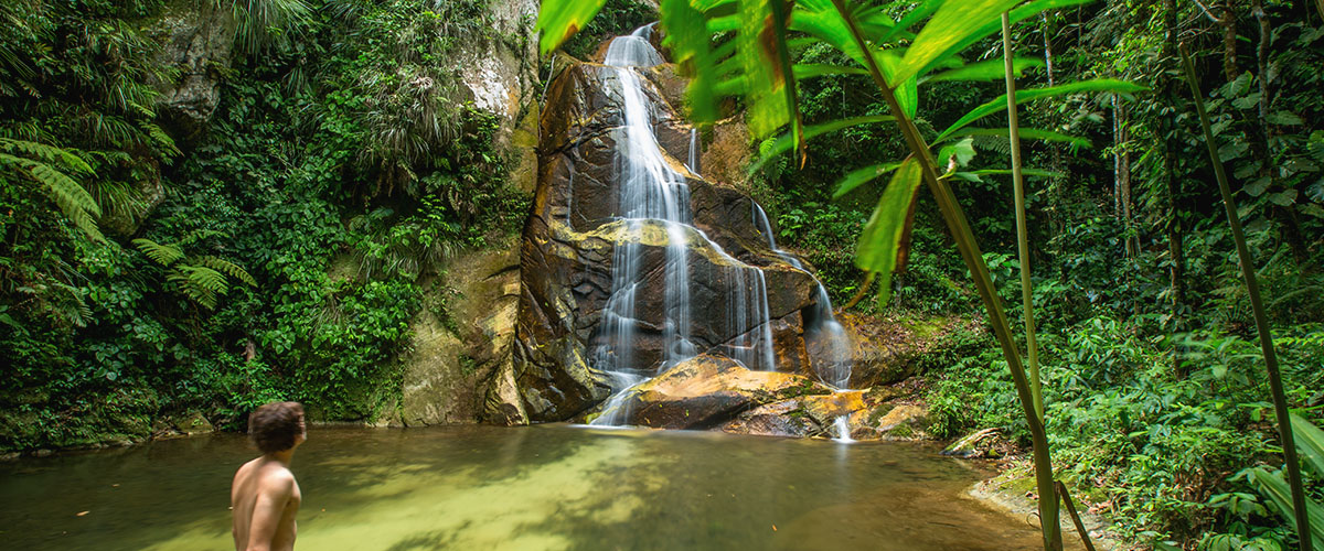 Selva y cataratas de Pucayaquillo
